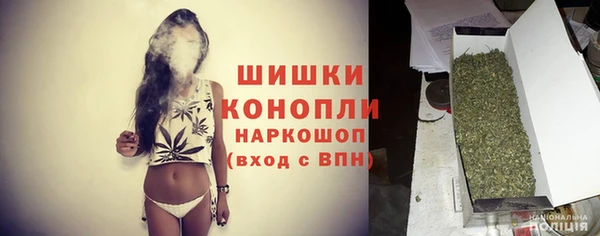 прущий лед Абаза